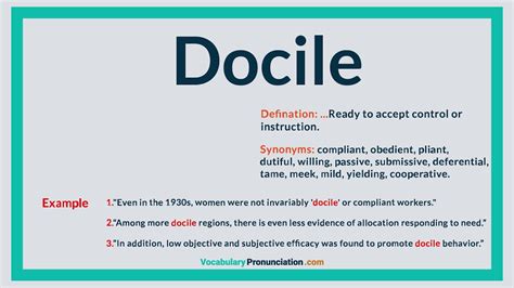 docile synonyme